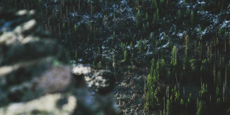 构筑数字防线：莫尔斯安全EDR方案如何通过风险评估与应急响应实现数据保护