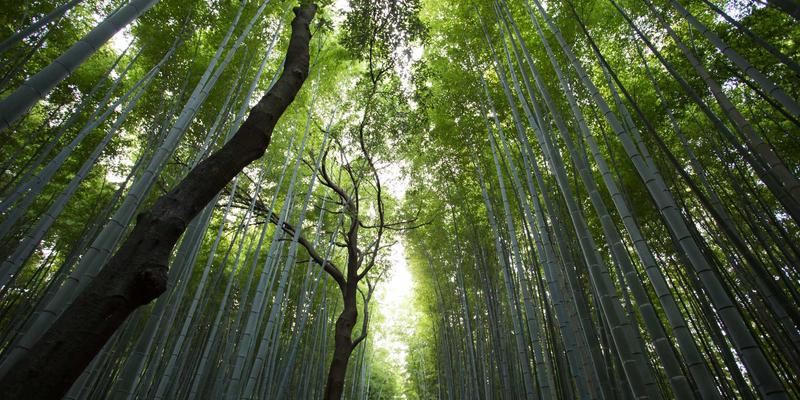 混合多云环境下的统一安全策略：莫尔斯安全如何通过渗透测试与安全咨询筑牢信息防线