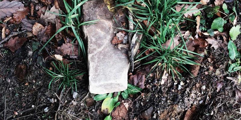 穿透迷雾：莫尔斯安全如何通过深度取证与溯源分析，化解高级持续性威胁（APT）风险