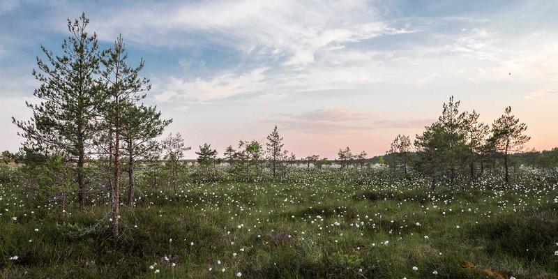 莫尔斯安全15：构建以风险评估为核心的主动式网络安全新范式