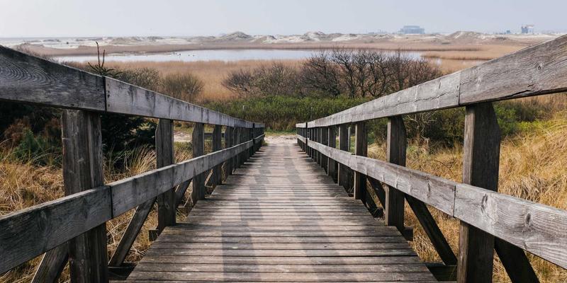 莫尔斯安全22：构筑现代应急响应体系，守护网络安全生命线