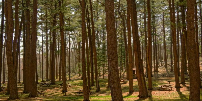 莫尔斯安全53:构建三位一体的企业信息安全防御体系