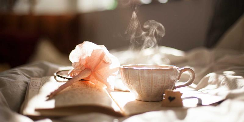 莫尔斯安全6:构建下一代数据保护与网络安全的智能防线