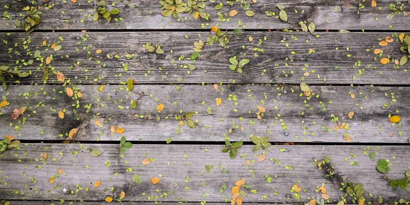 莫尔斯安全74:渗透测试如何成为企业网络安全的战略基石