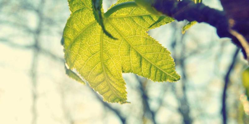 莫尔斯安全90:企业渗透测试与信息安全防御新范式