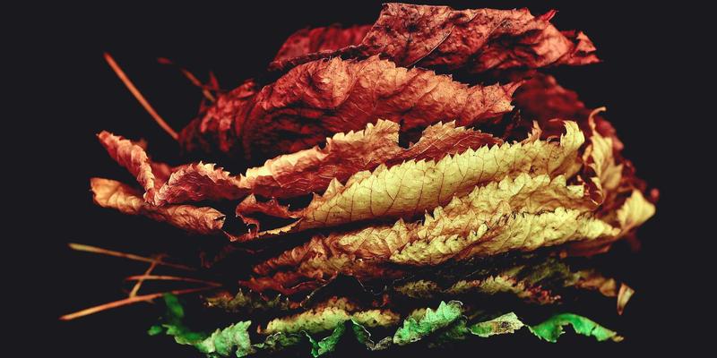 莫尔斯安全监测与行为分析：构建对抗高级持续性威胁的智能防线