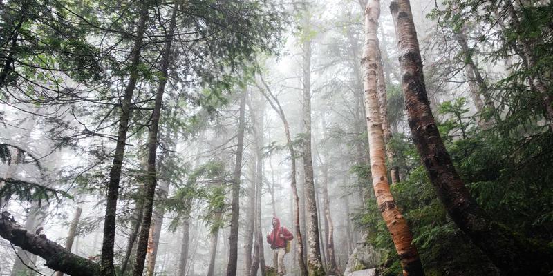 莫尔斯安全视角下的内部威胁管控：如何通过用户行为分析重塑网络安全防线