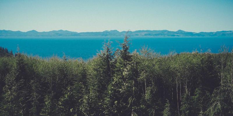 莫尔斯安全评测:专业信息安全咨询如何为企业构筑风险评估防线