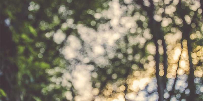 莫尔斯安全赋能SOC：以渗透测试与安全咨询驱动威胁检测与响应自动化升级