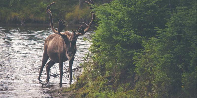 金融API安全新防线：莫尔斯安全方法论如何重塑渗透测试与应急响应